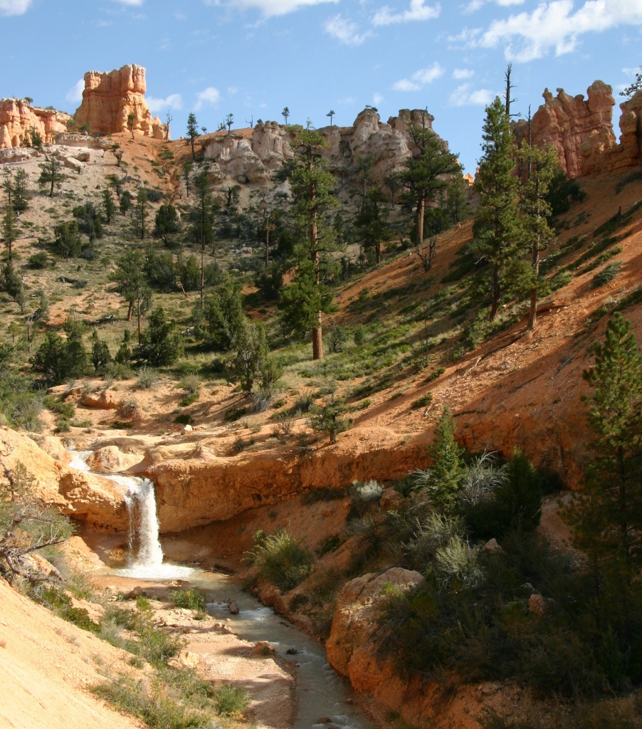 06 - Bryce Canyon NP (24).jpg